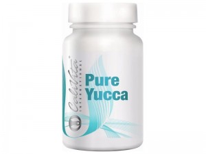 Pure_Yucca